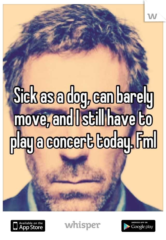 Sick as a dog, can barely move, and I still have to play a concert today. Fml