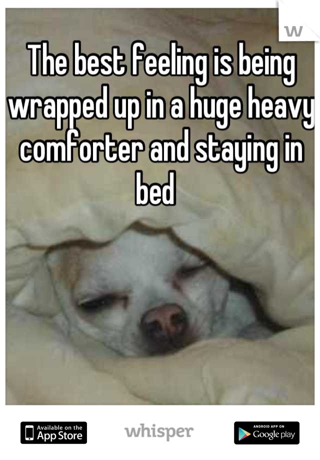 The best feeling is being wrapped up in a huge heavy comforter and staying in bed  