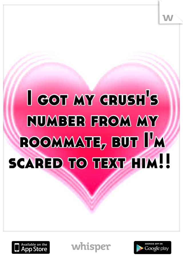 I got my crush's number from my roommate, but I'm scared to text him!! 