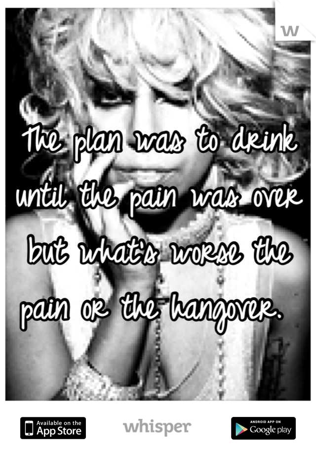 The plan was to drink until the pain was over but what's worse the pain or the hangover. 