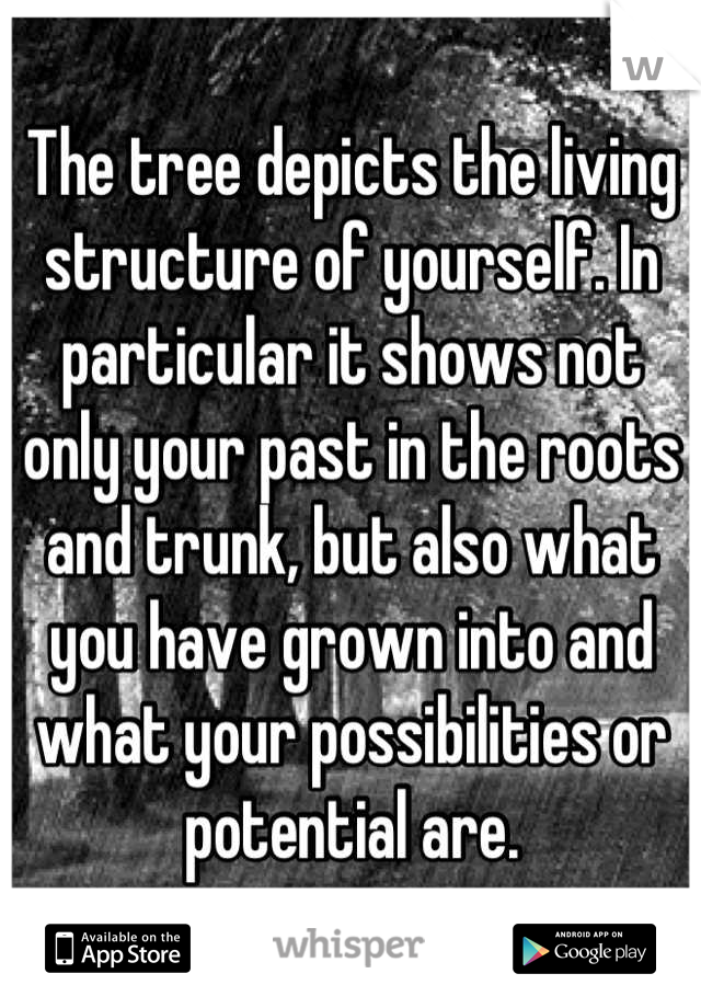 The tree depicts the living structure of yourself. In particular it shows not only your past in the roots and trunk, but also what you have grown into and what your possibilities or potential are.