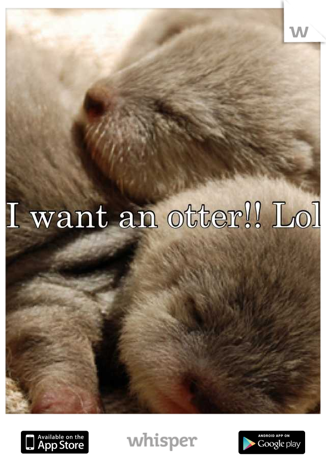 I want an otter!! Lol