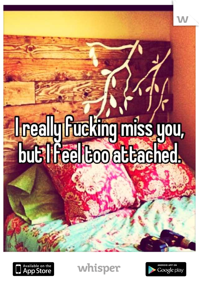 I really fucking miss you, but I feel too attached.