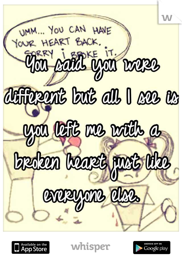 You said you were different but all I see is you left me with a broken heart just like everyone else.