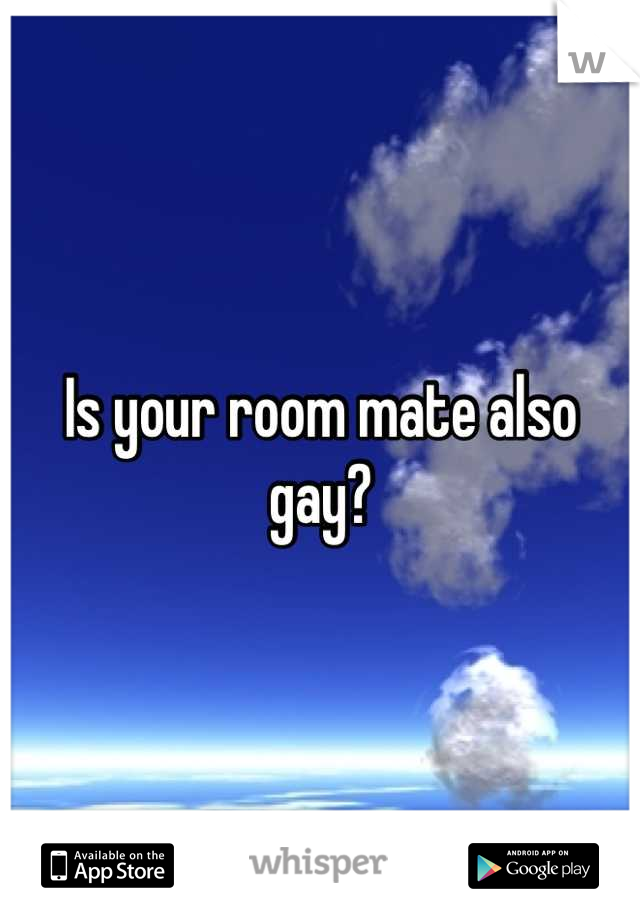 Is your room mate also gay?