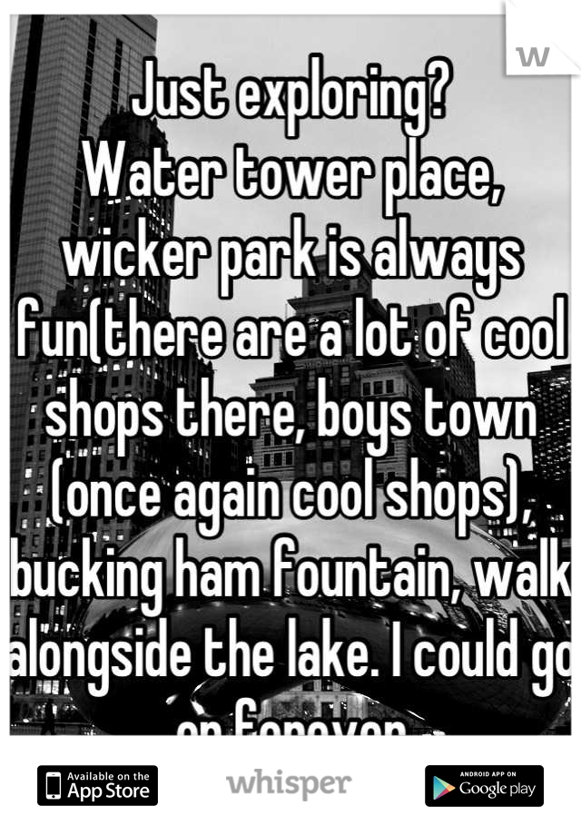 Just exploring?
Water tower place, wicker park is always fun(there are a lot of cool shops there, boys town (once again cool shops), bucking ham fountain, walk alongside the lake. I could go on forever