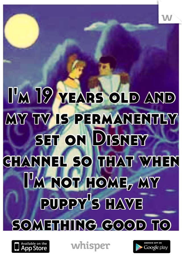 I'm 19 years old and my tv is permanently set on Disney channel so that when I'm not home, my puppy's have something good to watch..  