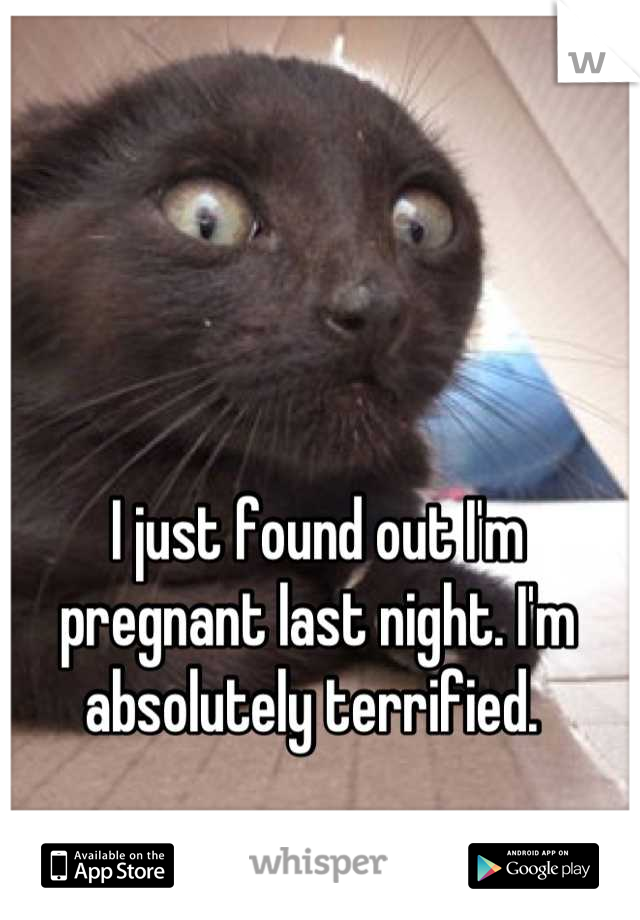 I just found out I'm pregnant last night. I'm absolutely terrified. 