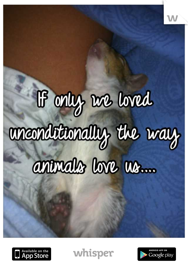 If only we loved unconditionally the way animals love us....