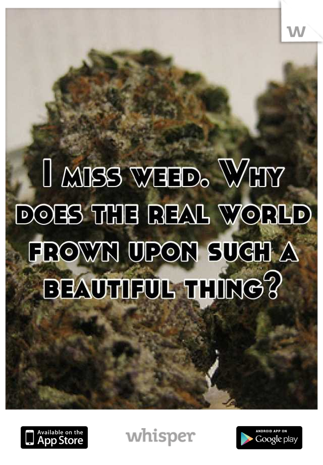 I miss weed. Why does the real world frown upon such a beautiful thing?