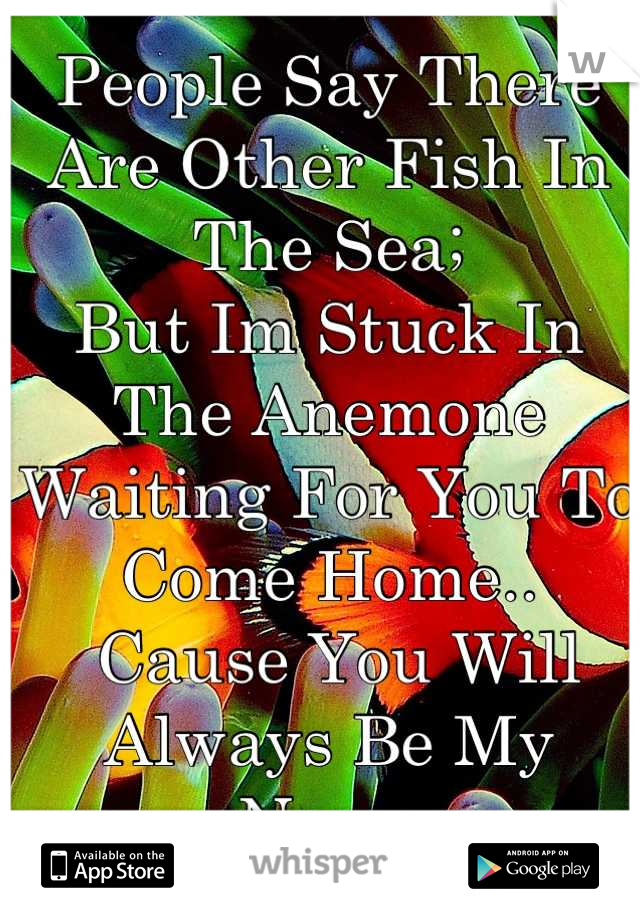 People Say There Are Other Fish In The Sea;
But Im Stuck In The Anemone Waiting For You To Come Home..
 Cause You Will Always Be My Nemo
<3