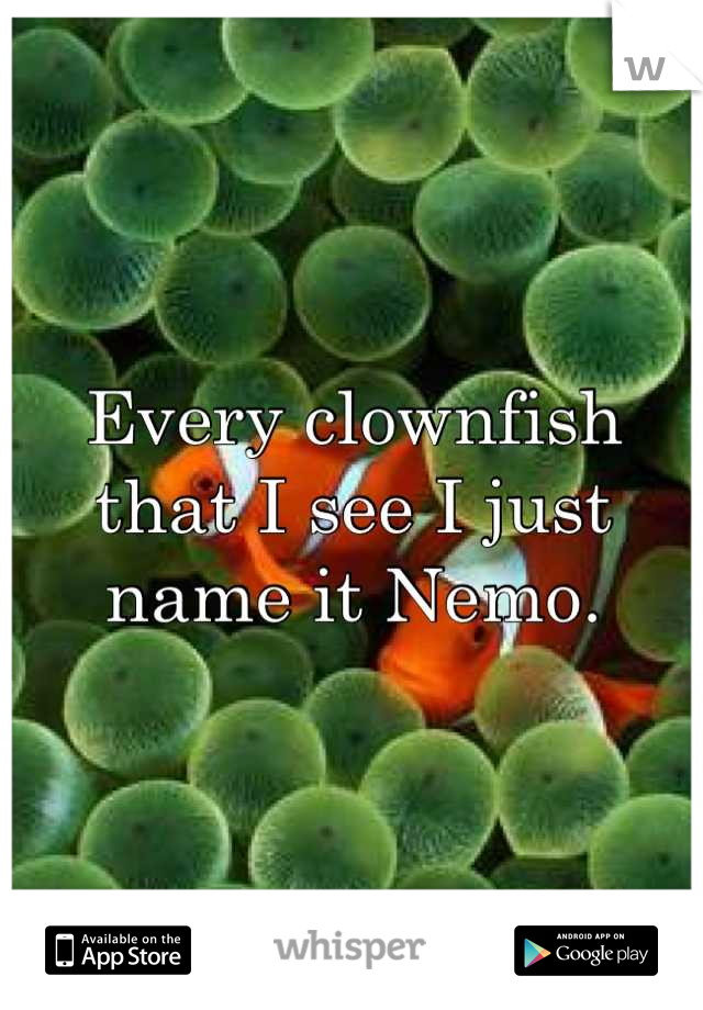 Every clownfish that I see I just name it Nemo.