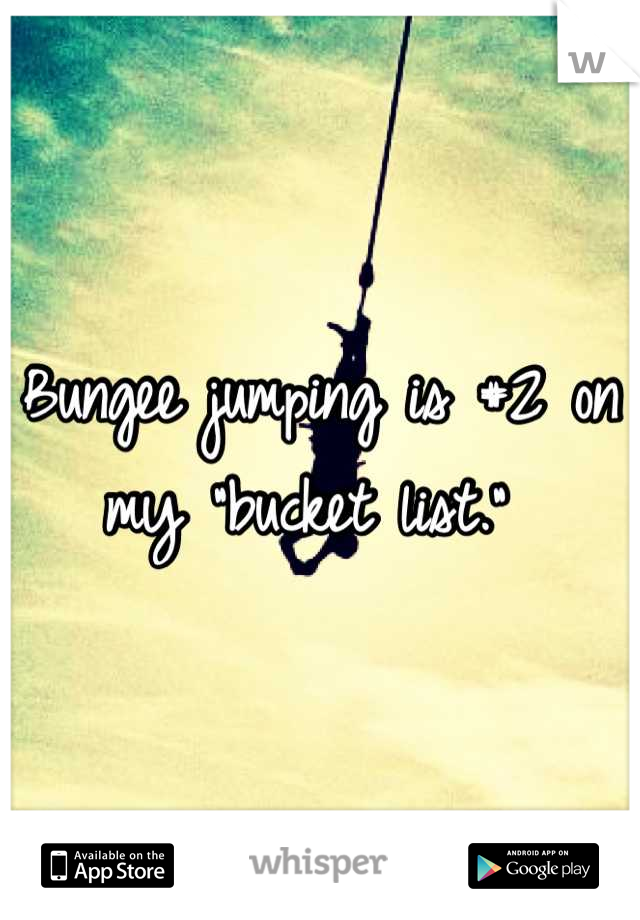 Bungee jumping is #2 on my "bucket list." 
