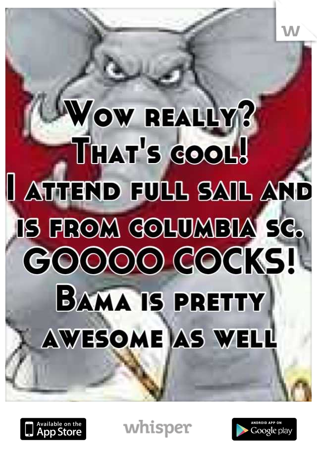 Wow really?
That's cool! 
I attend full sail and is from columbia sc.
GOOOO COCKS!
Bama is pretty awesome as well