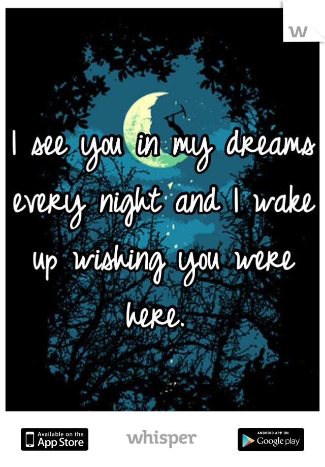 I see you in my dreams every night and I wake up wishing you were here. 