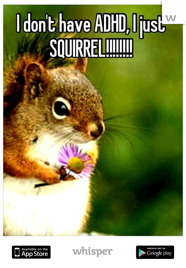 I don't have ADHD, I just
SQUIRREL!!!!!!!!