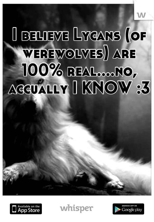 I believe Lycans (of werewolves) are 100% real....no, accually I KNOW :3