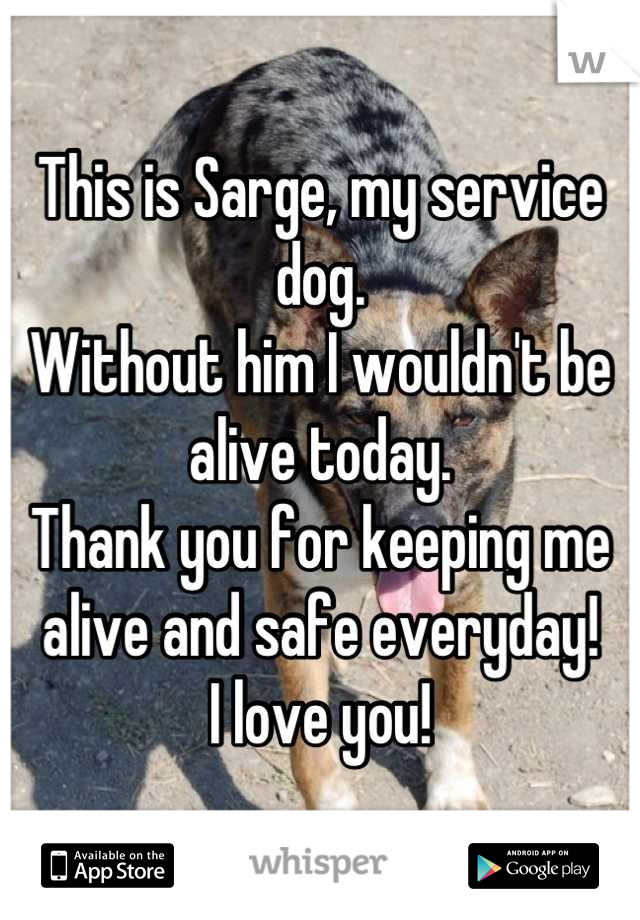 This is Sarge, my service dog.
Without him I wouldn't be alive today.
Thank you for keeping me alive and safe everyday!
I love you!