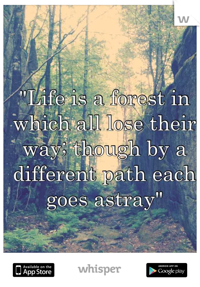 "Life is a forest in which all lose their way; though by a different path each goes astray"