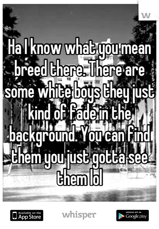 Ha I know what you mean breed there. There are some white boys they just kind of fade in the background. You can find them you just gotta see them lol