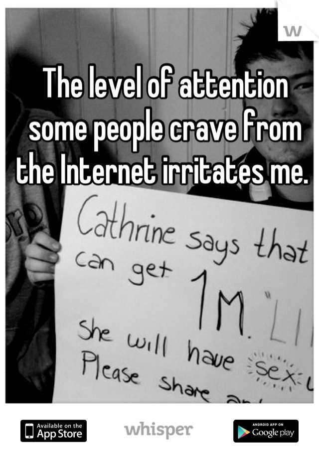 The level of attention some people crave from the Internet irritates me. 