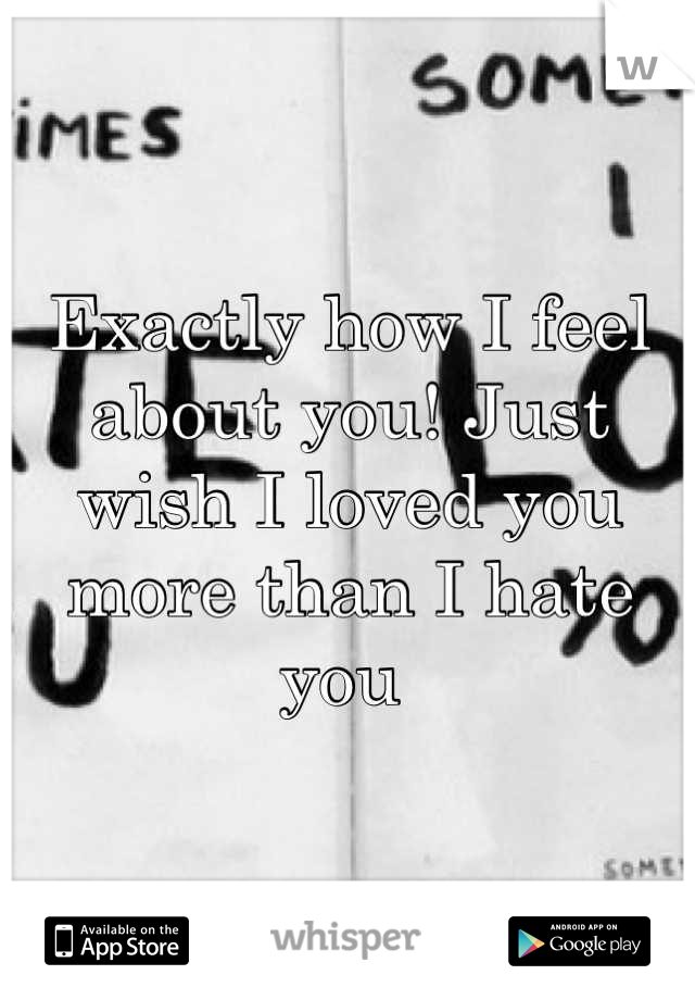 Exactly how I feel about you! Just wish I loved you more than I hate you 