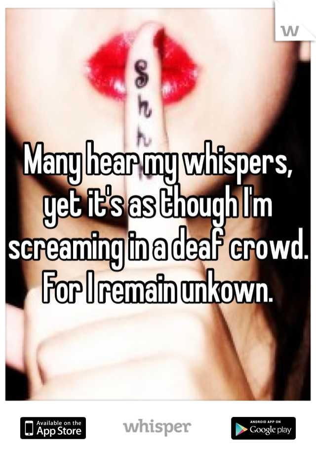 Many hear my whispers, yet it's as though I'm screaming in a deaf crowd. For I remain unkown.