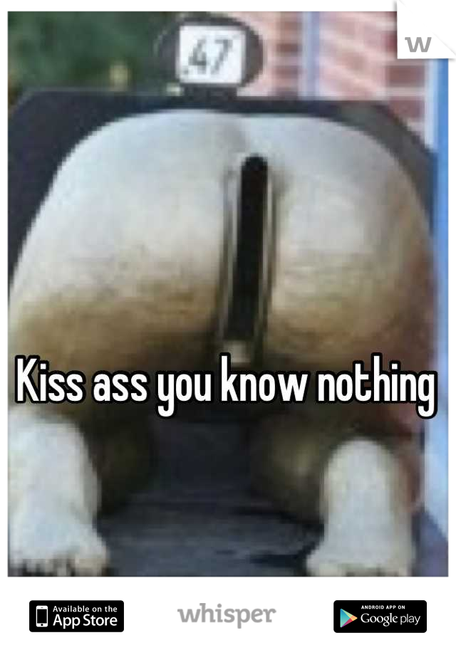 Kiss ass you know nothing