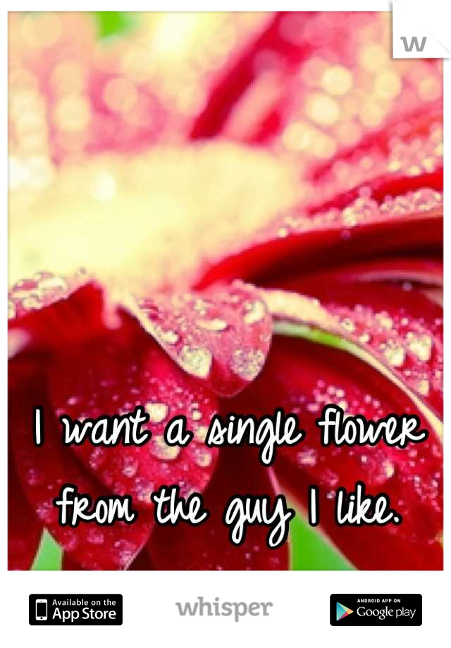 I want a single flower from the guy I like.