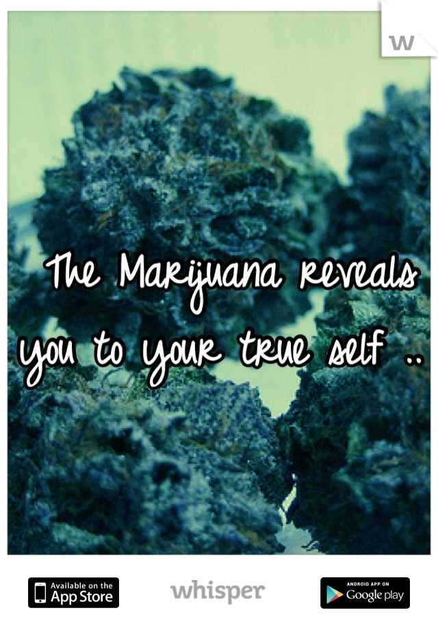 The Marijuana reveals you to your true self .. 