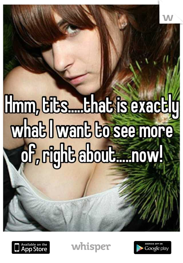 Hmm, tits.....that is exactly what I want to see more of, right about.....now!