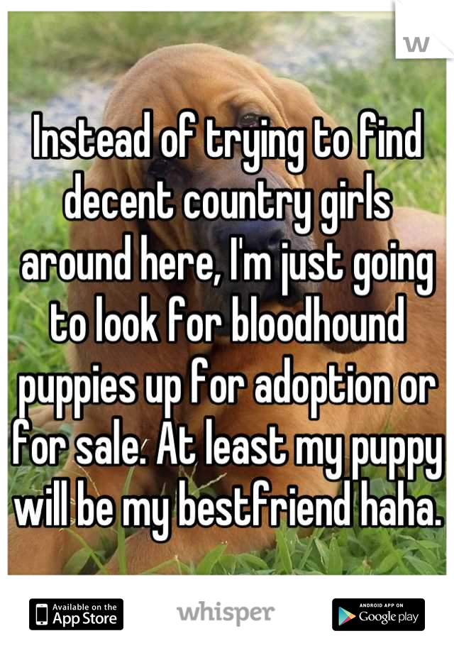 Instead of trying to find decent country girls around here, I'm just going to look for bloodhound puppies up for adoption or for sale. At least my puppy will be my bestfriend haha.