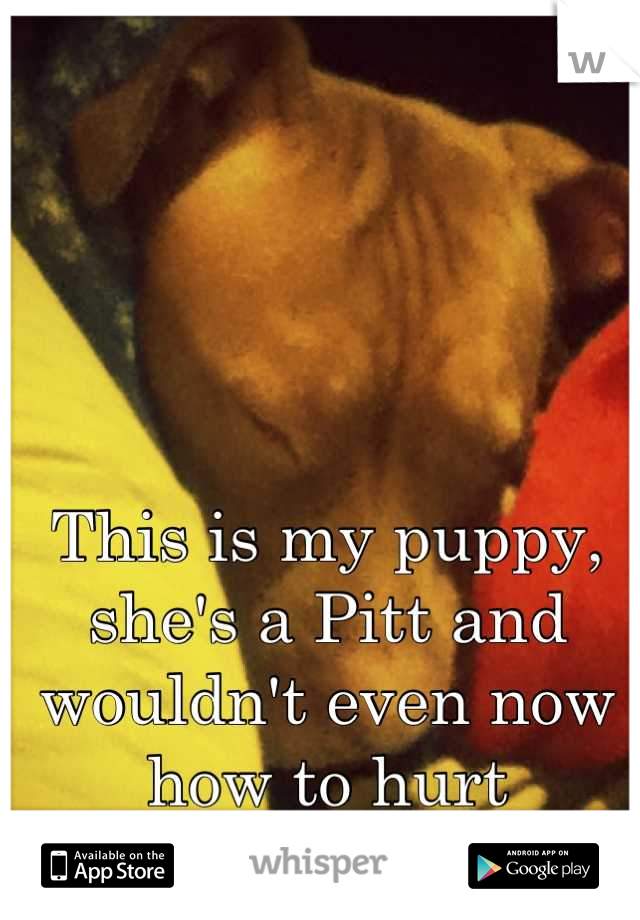 This is my puppy, she's a Pitt and wouldn't even now how to hurt someone. 