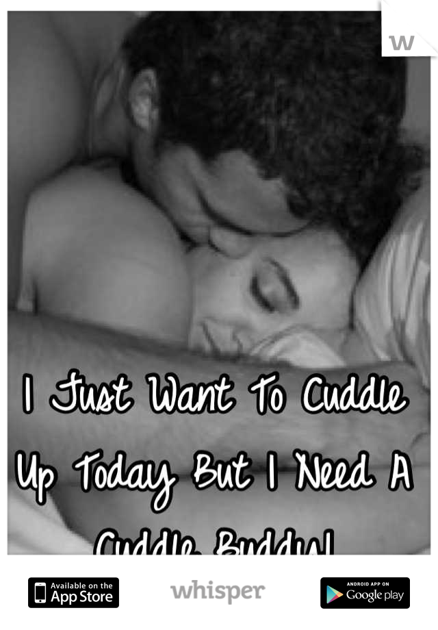 I Just Want To Cuddle Up Today But I Need A Cuddle Buddy!