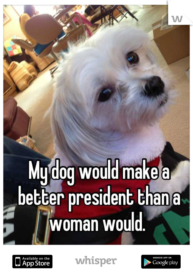 My dog would make a better president than a woman would. 