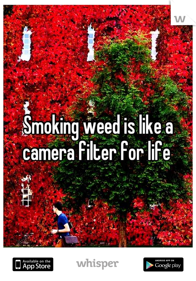 Smoking weed is like a camera filter for life 