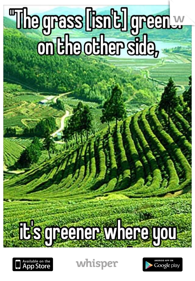 "The grass [isn't] greener on the other side,






it's greener where you water it."



