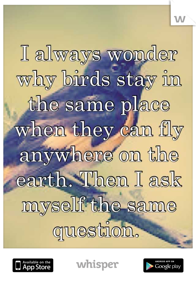 I always wonder why birds stay in the same place when they can fly anywhere on the earth. Then I ask myself the same question. 