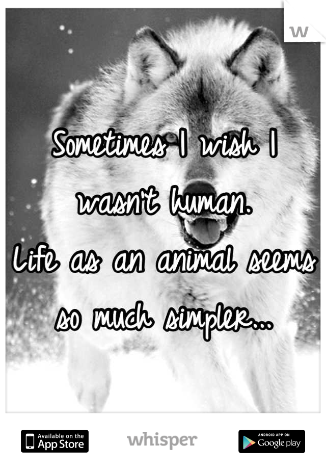 Sometimes I wish I wasn't human.
Life as an animal seems so much simpler...