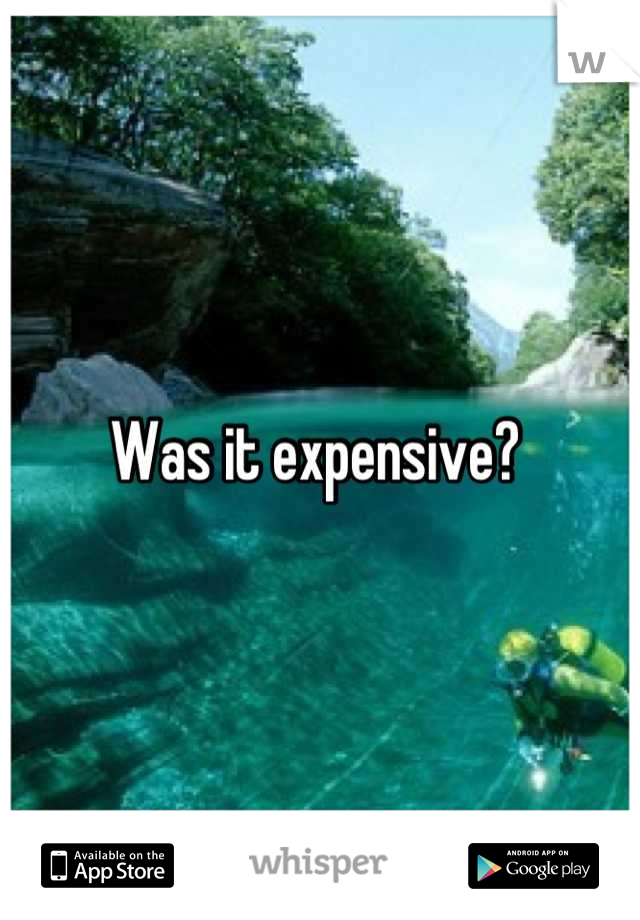 Was it expensive? 