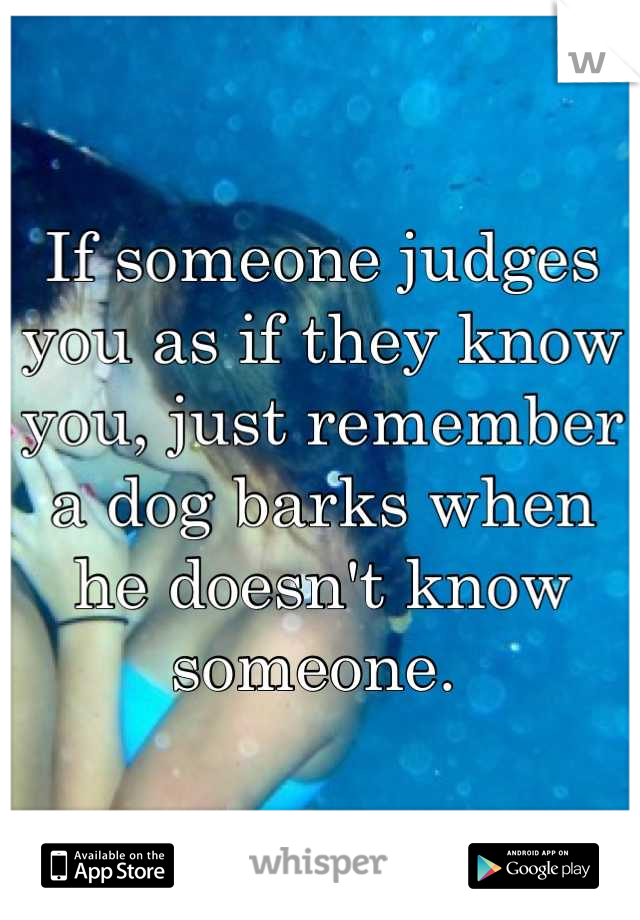 If someone judges you as if they know you, just remember a dog barks when he doesn't know someone. 