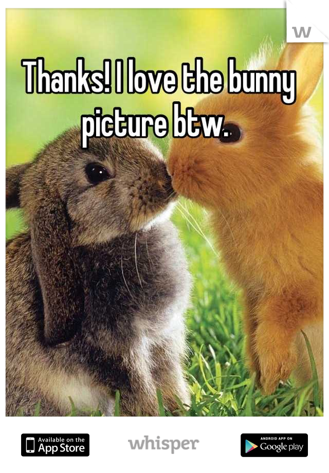 Thanks! I love the bunny picture btw. 