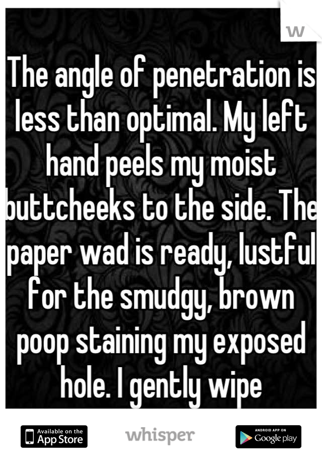 The angle of penetration is less than optimal. My left hand peels my moist buttcheeks to the side. The paper wad is ready, lustful for the smudgy, brown poop staining my exposed hole. I gently wipe