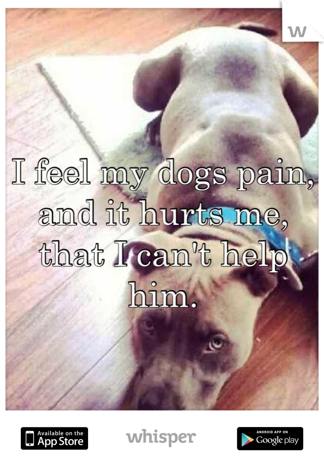 I feel my dogs pain, and it hurts me, that I can't help him.