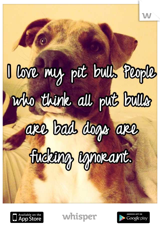 I love my pit bull. People who think all put bulls are bad dogs are fucking ignorant.