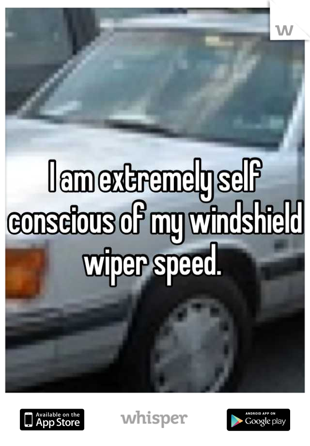 I am extremely self conscious of my windshield wiper speed. 