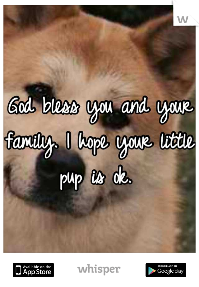 God bless you and your family. I hope your little pup is ok. 