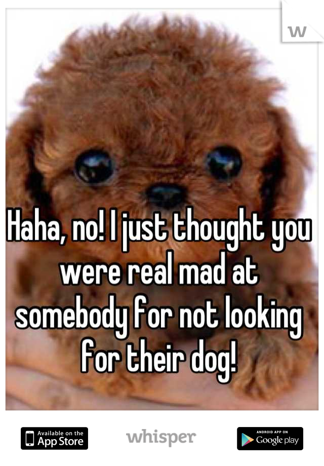 Haha, no! I just thought you were real mad at somebody for not looking for their dog!