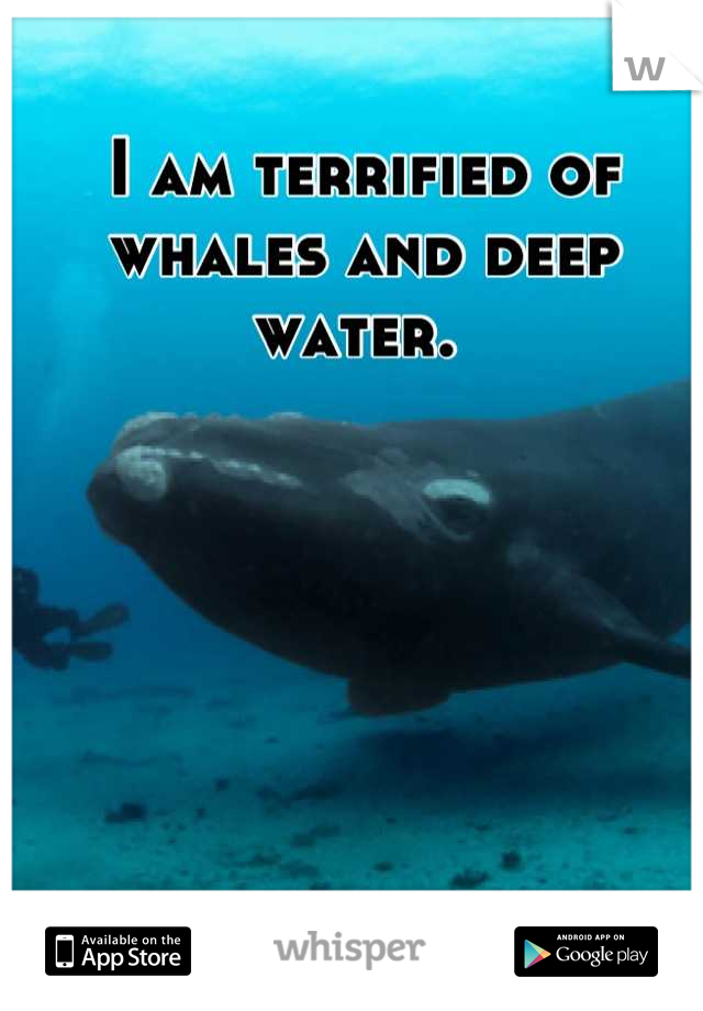 I am terrified of whales and deep water. 