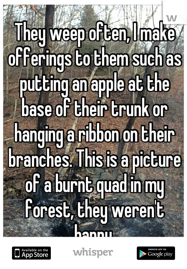 They weep often, I make offerings to them such as putting an apple at the base of their trunk or hanging a ribbon on their branches. This is a picture of a burnt quad in my forest, they weren't happy.